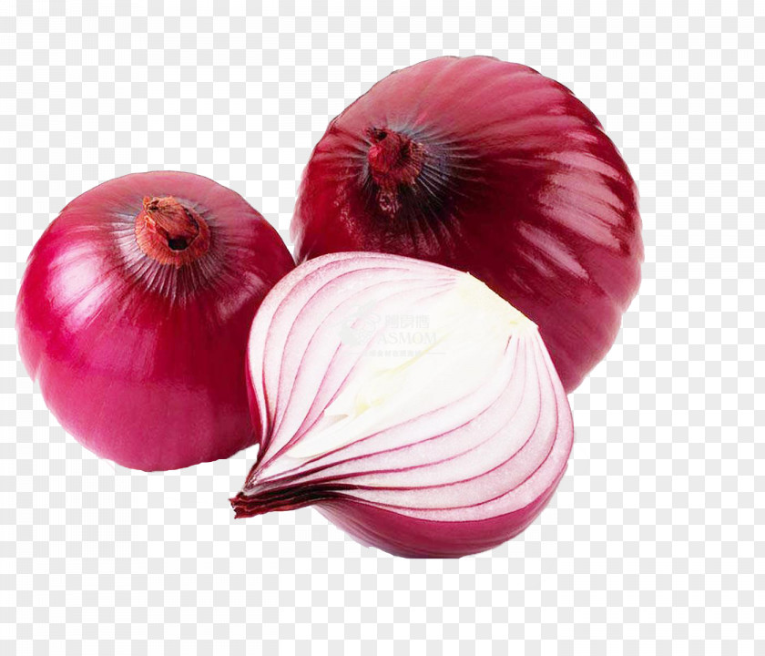 Onion Organic Food Yellow White Vegetable PNG