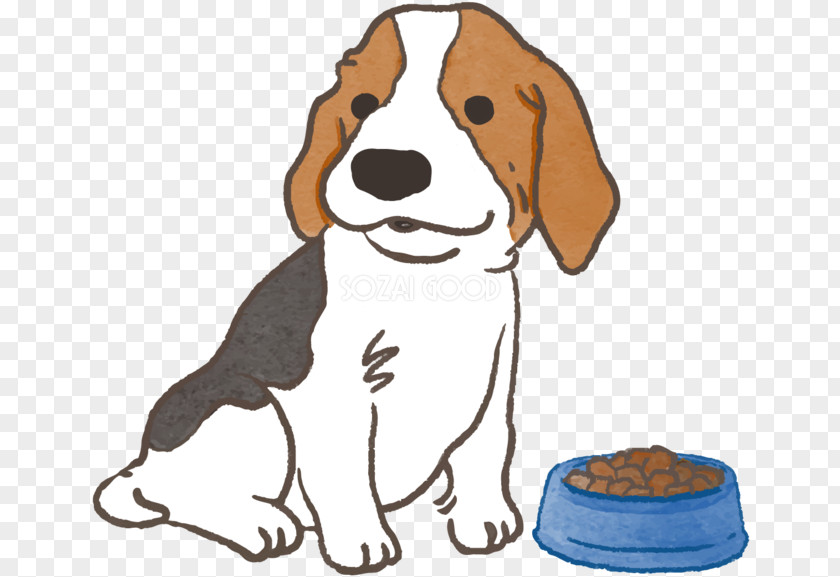 Puppy Beagle Dog Breed Companion Clip Art PNG