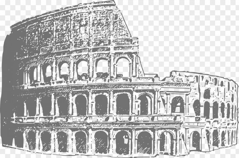 Colosseum Roman Forum Image Clip Art PNG