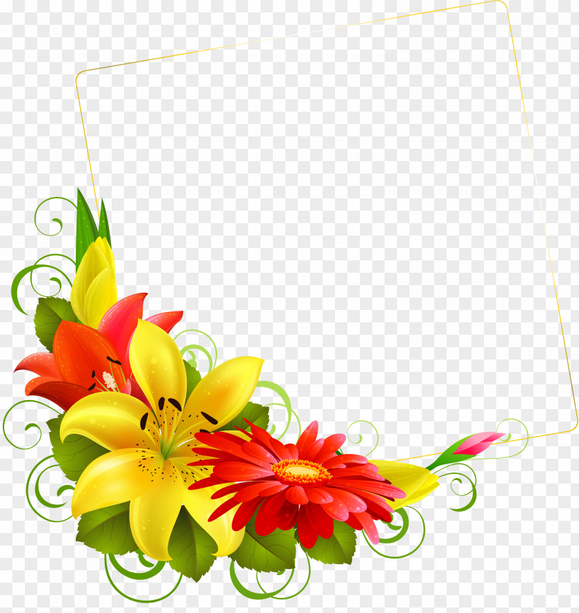 Gerbera Cut Flowers Background PNG
