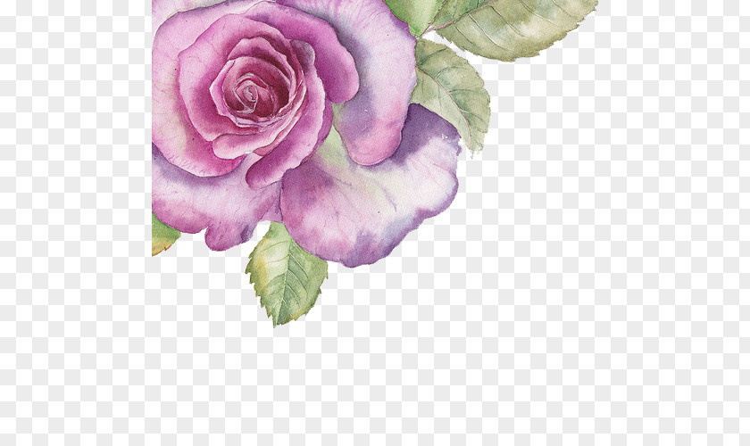 Hand-painted Purple Flowers Watercolour Watercolor Painting Rose PNG