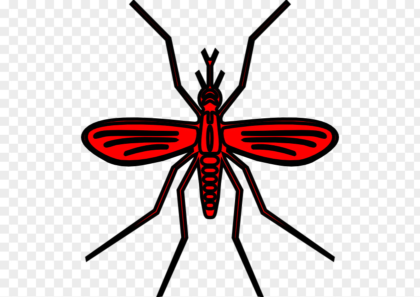 Mosquito Red Clip Art PNG