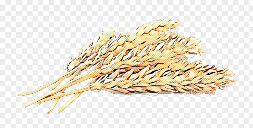 Poales Hordeum Wheat Cartoon PNG