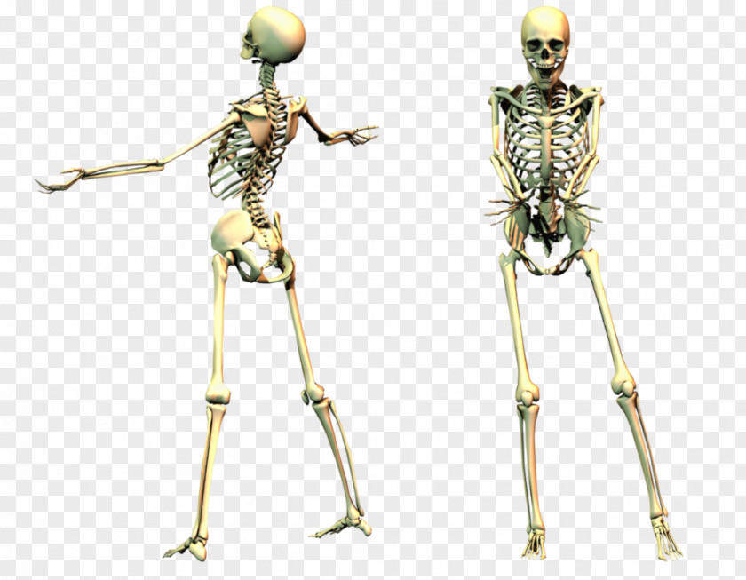 Spooky Skeleton Human Desktop Wallpaper PNG