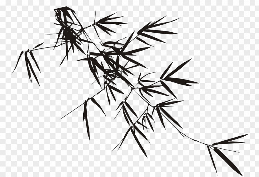 Bamboo Ink Brush PNG