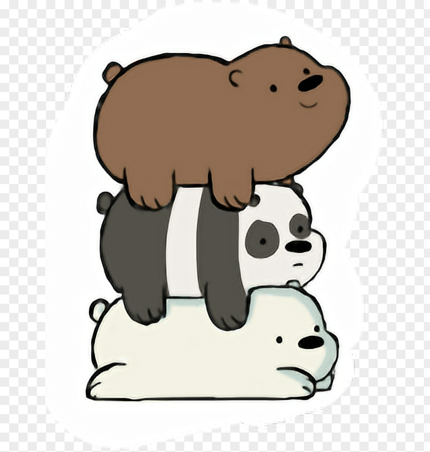 Drawing Bear Polar Giant Panda The Baby Bears Ice PNG