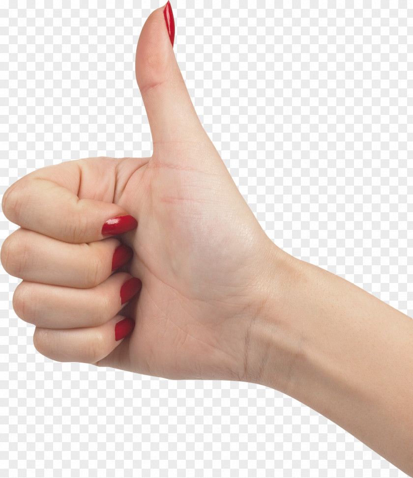 Fingers Hand Finger Thumb PNG