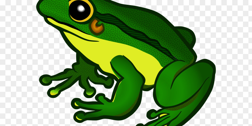 Frog Clip Art Transparency Desktop Wallpaper PNG