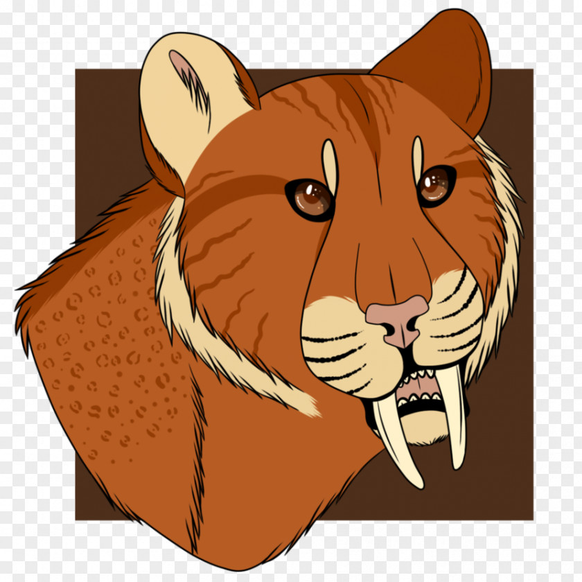 Lion Whiskers Tiger Cat Illustration PNG