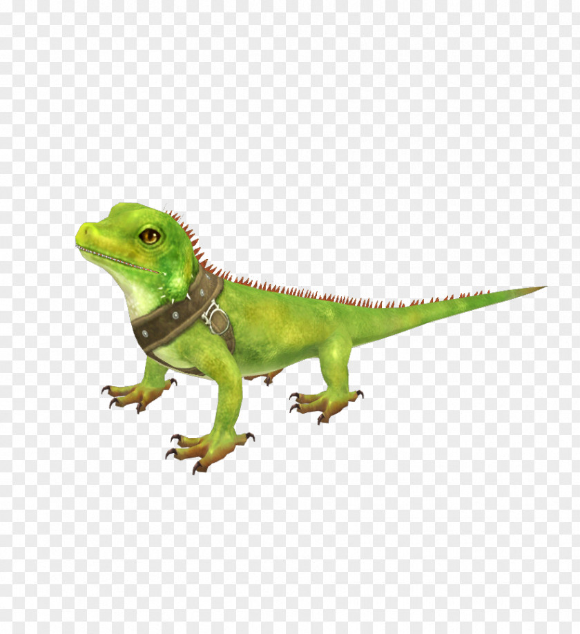 Lizard Common Iguanas Chameleons Dragon Lizards Last Chaos PNG