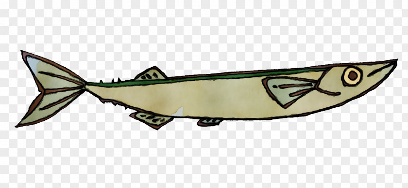 Mackerel PNG