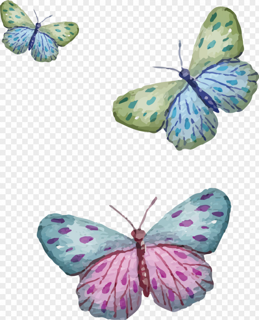 Vector Painted Three Butterfly PNG