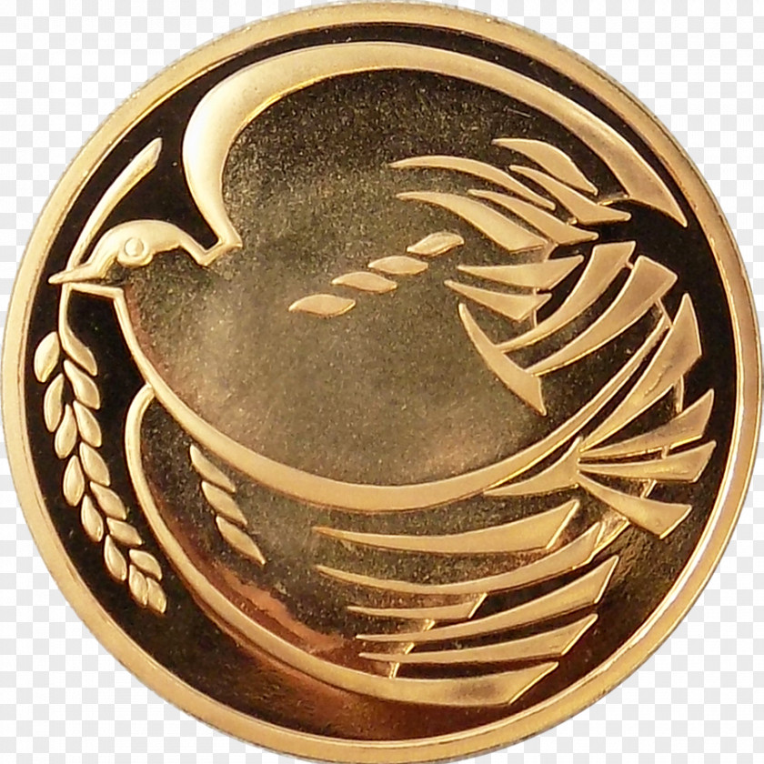 Coin Medal Copper Bronze PNG