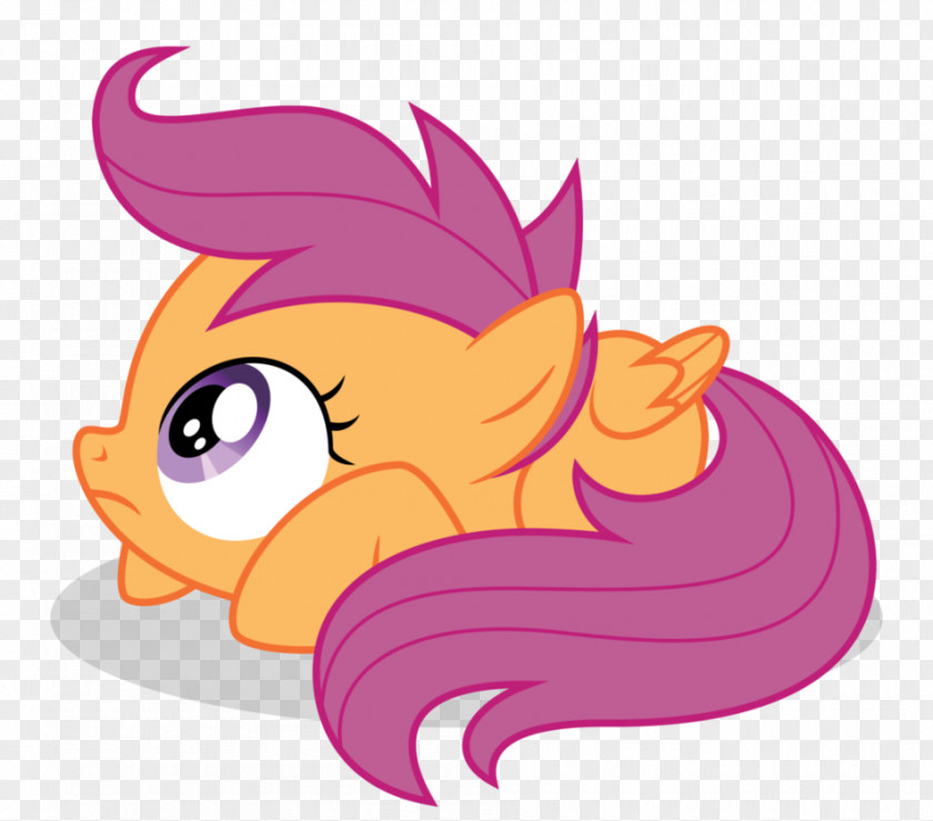 Enjoy Scootaloo Twilight Sparkle Rainbow Dash Rarity Pinkie Pie PNG