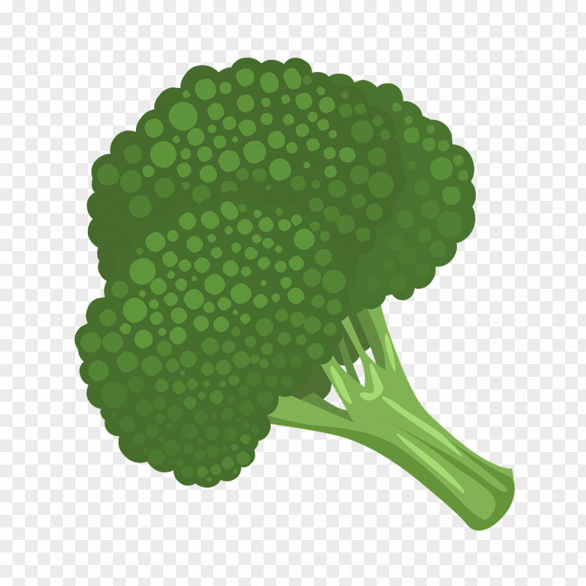 Green Cauliflower Broccoli Vegetable Clip Art PNG
