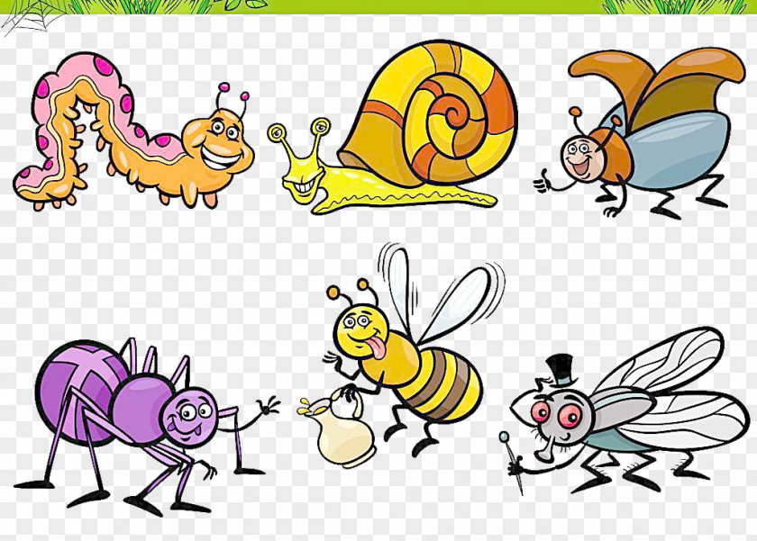 Insect Material Cartoon Illustration PNG