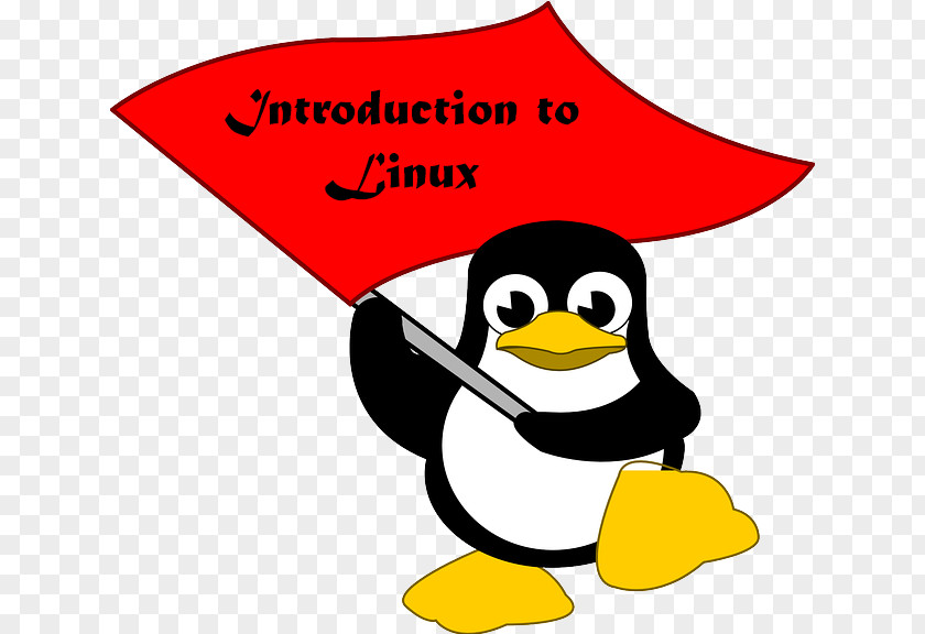 Programing Flag Penguin Tux Racer Linux Vector Graphics PNG