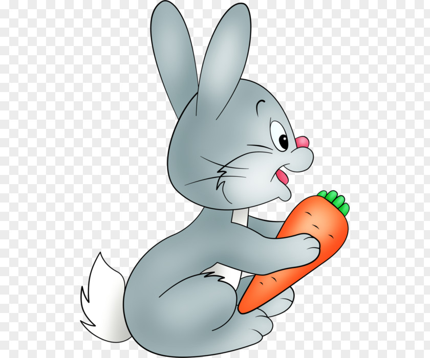 Rabbit Hare Easter Bunny Bugs Clip Art PNG