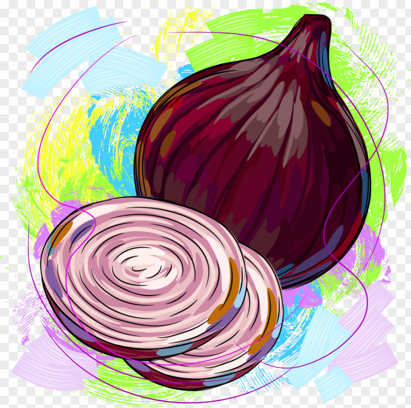 Vector Onions Onion Cartoon Vegetable Illustration PNG