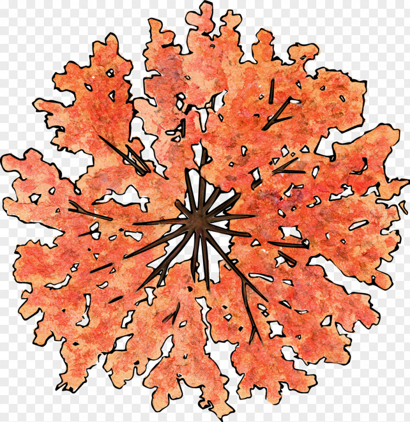 A Top View Of Yellow Tree PNG top view of a yellow tree clipart PNG