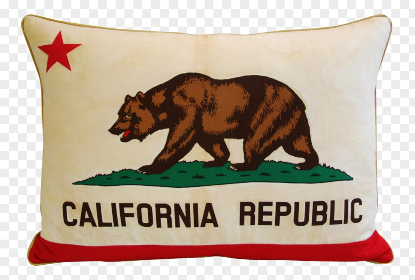 Flag California Republic Of Grizzly Bear PNG