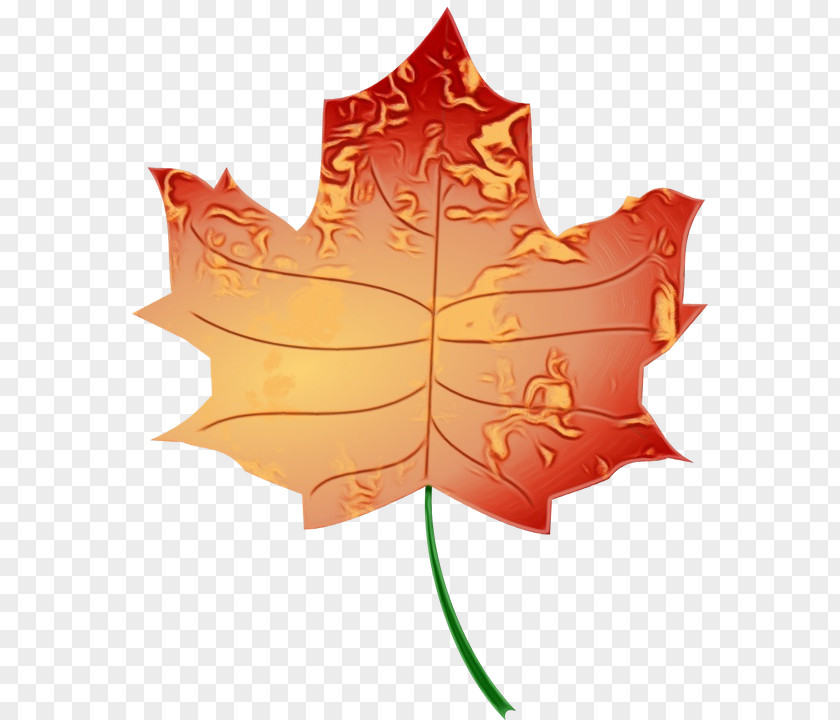 Maple Plane Autumn Leaf Drawing PNG