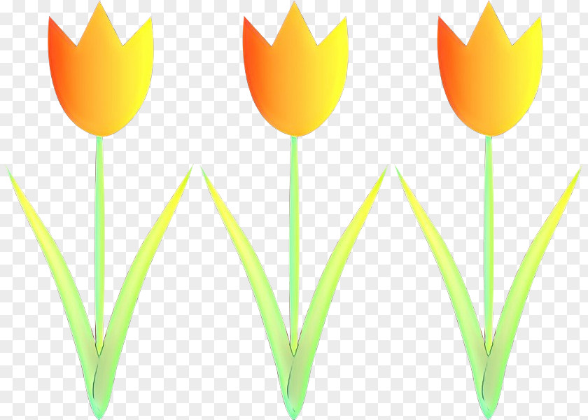 Tulip Clip Art Plant Stem Desktop Wallpaper Leaf PNG