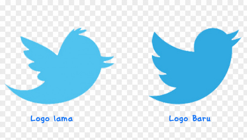 Bird Logo PNG