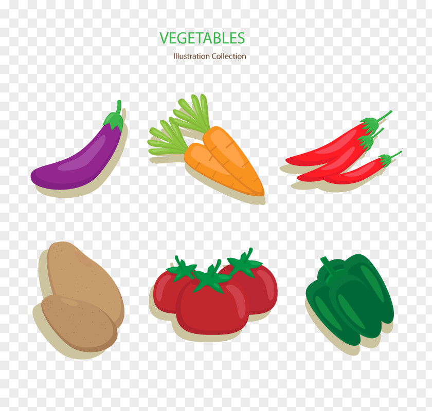 Eggplant Vector Vegetable Carrot Chili Pepper Drawing PNG