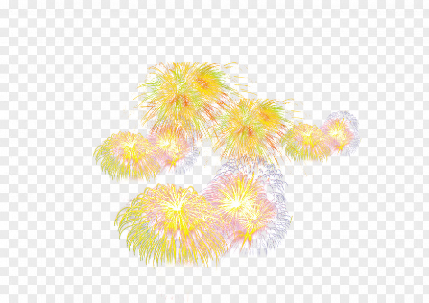 Golden Fireworks Pull Material Free Petal Pattern PNG