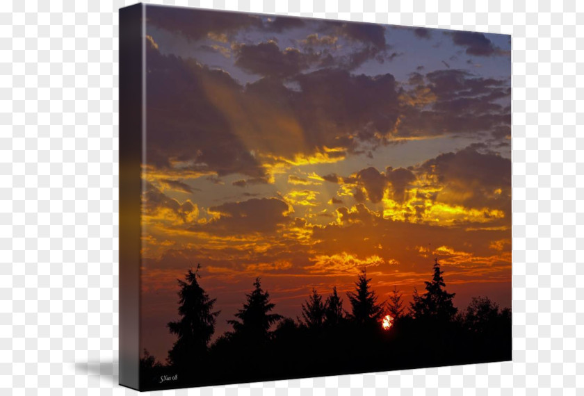 Sunset Light Stock Photography Sky Plc PNG