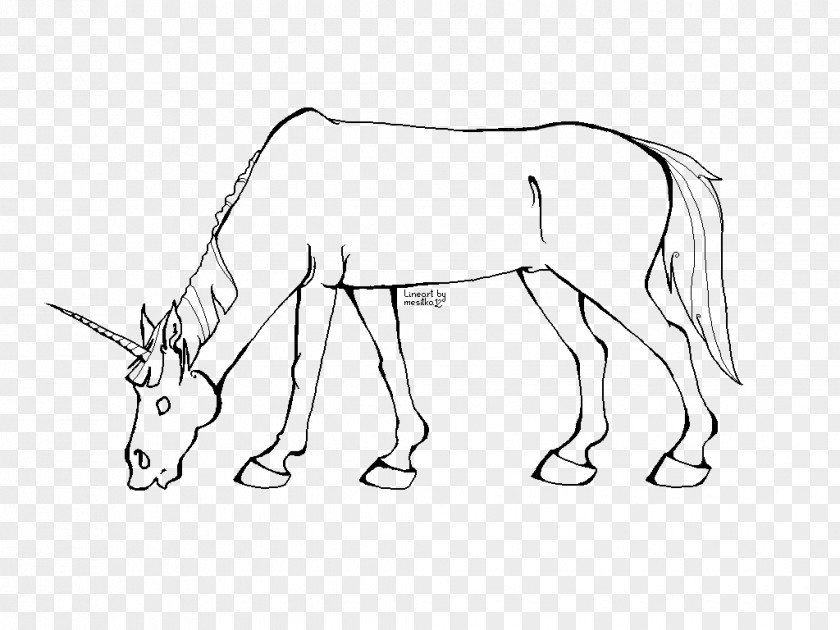 Donkey Mule Mane Mustang Sketch PNG