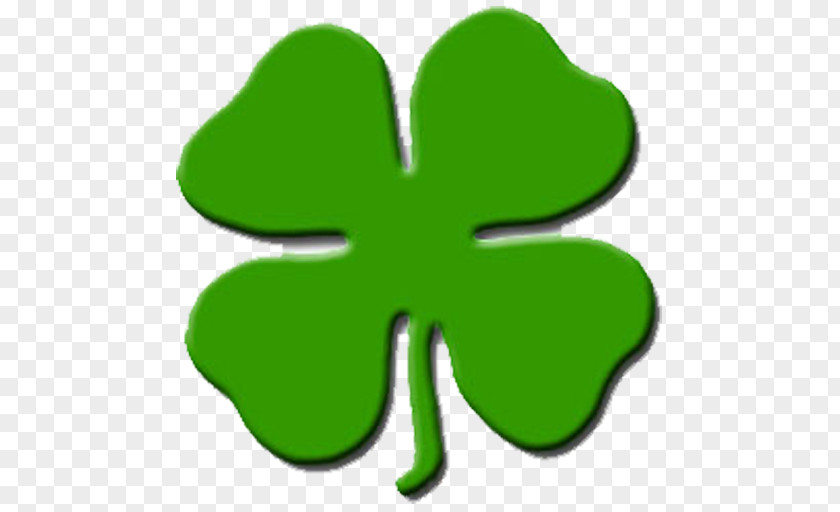 Shamrock Four-leaf Clover Clip Art PNG