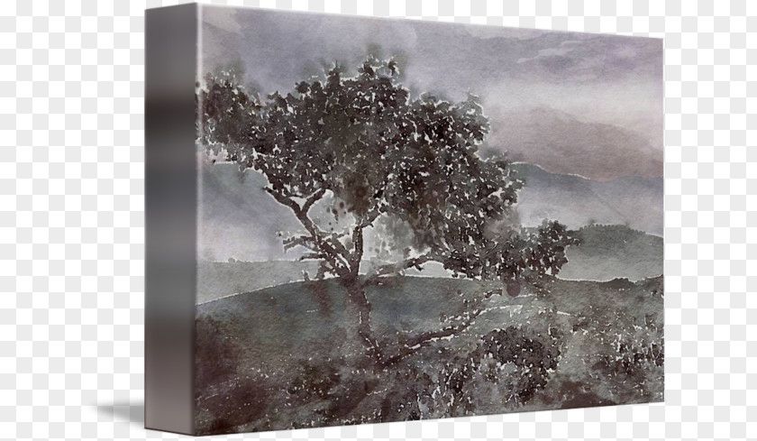 Watercolor Tree Mountain View Painting Wall Decal Wood PNG