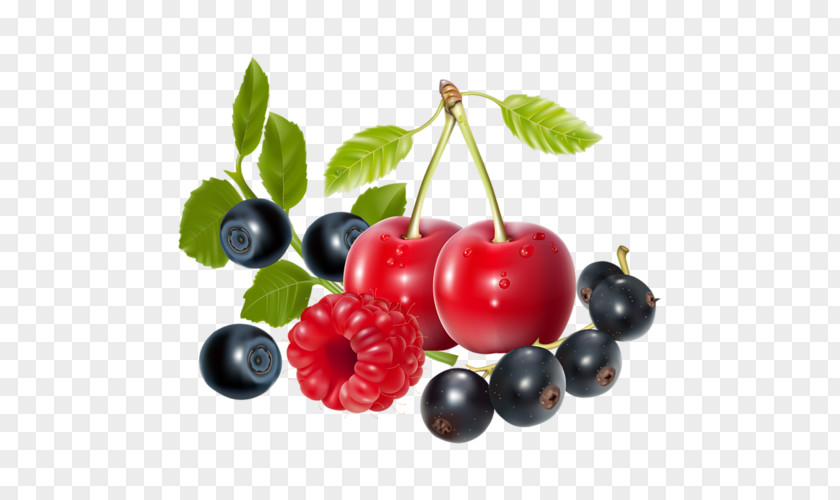 Blueberry PNG