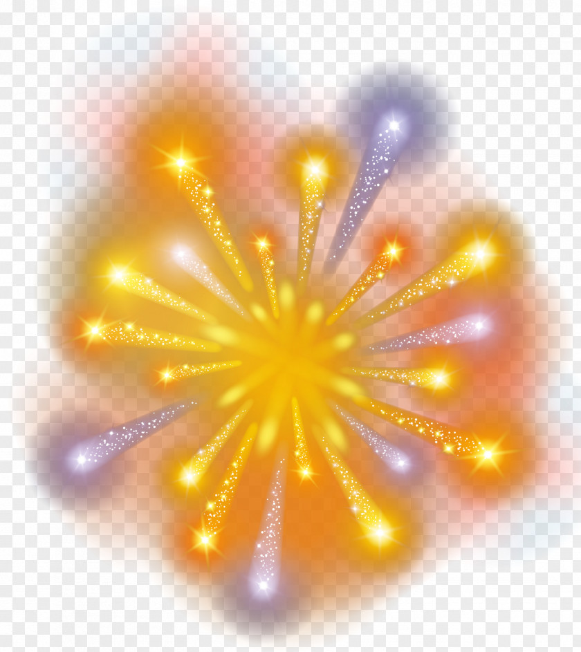 Fireworks Vector Material Bloom Adobe Download PNG