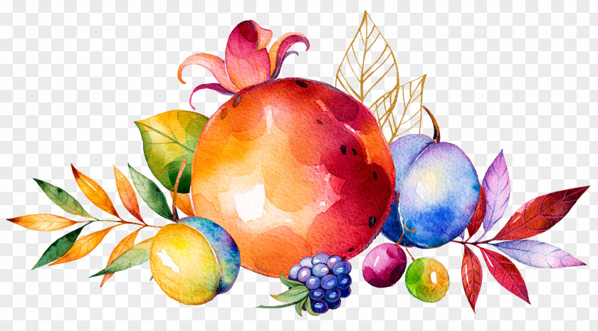 Hand Drawn Fruits And Vegetables Autumn Watercolor Painting Stock Photography Royalty-free PNG