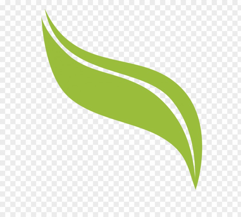 Leaf Logo Font PNG