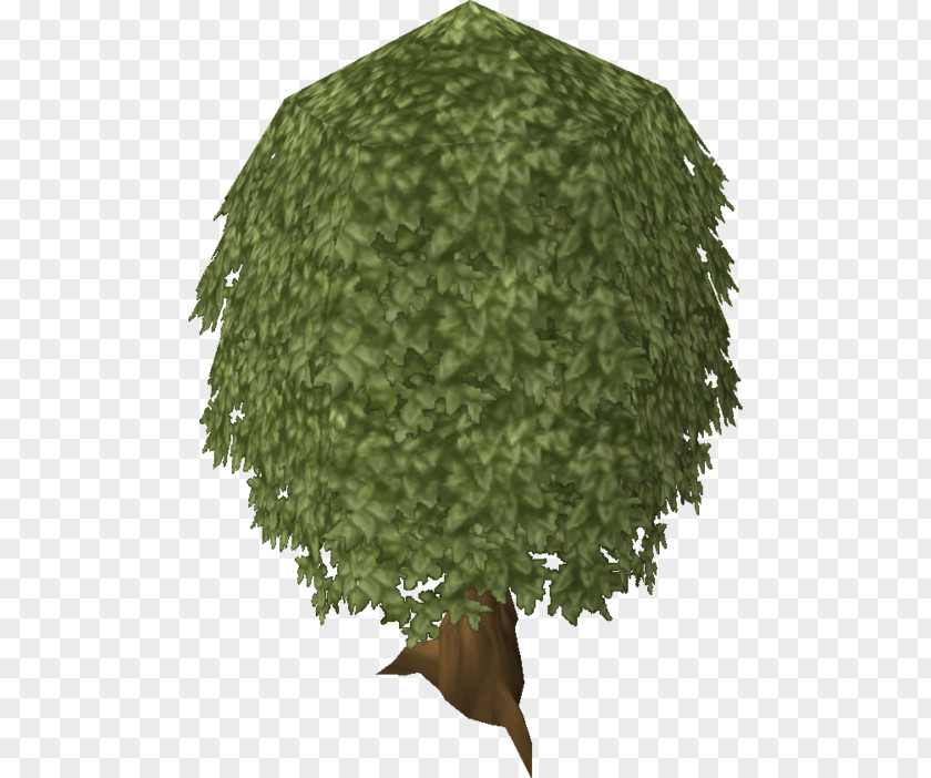 Oak Tree RuneScape Plant PNG