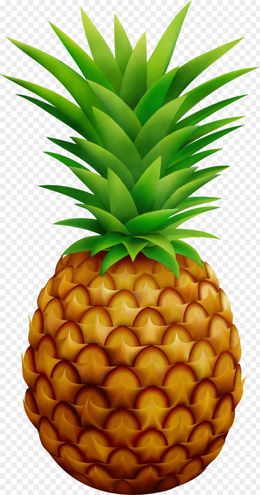 Pineapple PNG