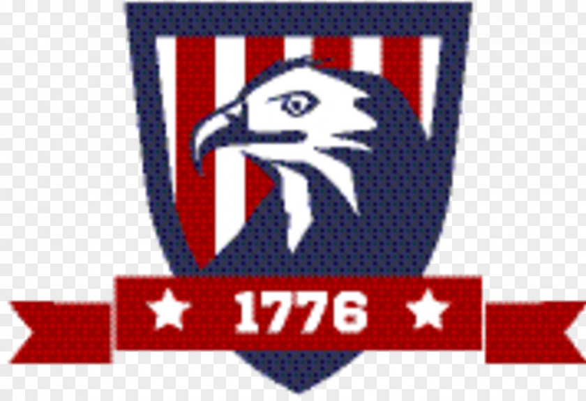 Bird Rectangle Eagle Logo PNG