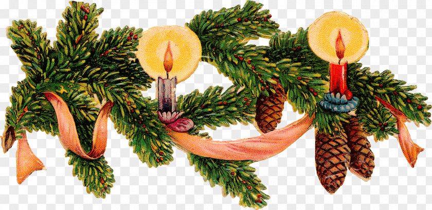 Christmas Pine Cone Decoration Material Clip Art PNG