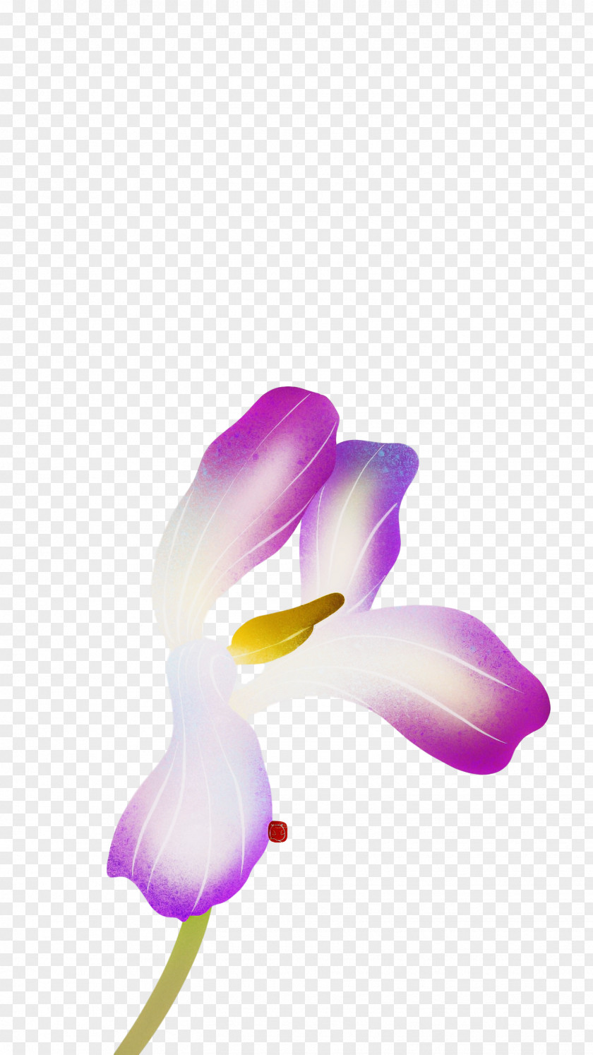 Lavender PNG