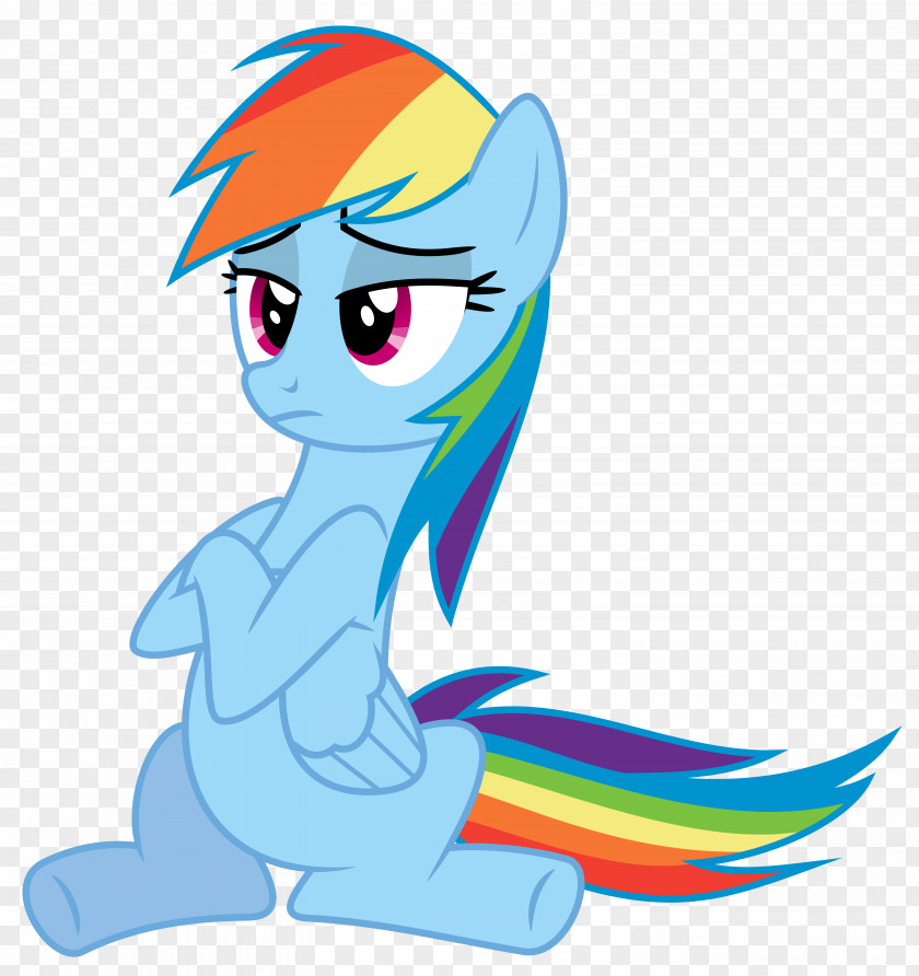 Rainbow Dash Pony Character Horse PNG