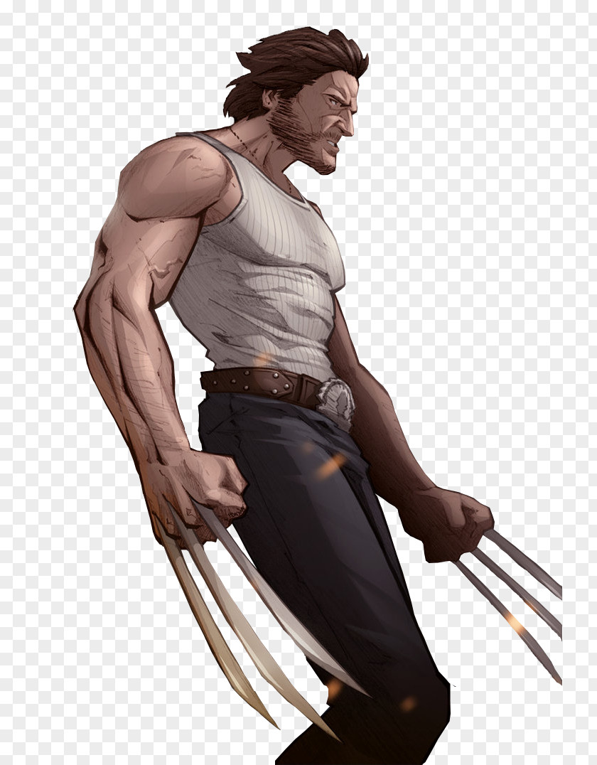 Wolverine Hugh Jackman X-Men Origins: Fan Art PNG