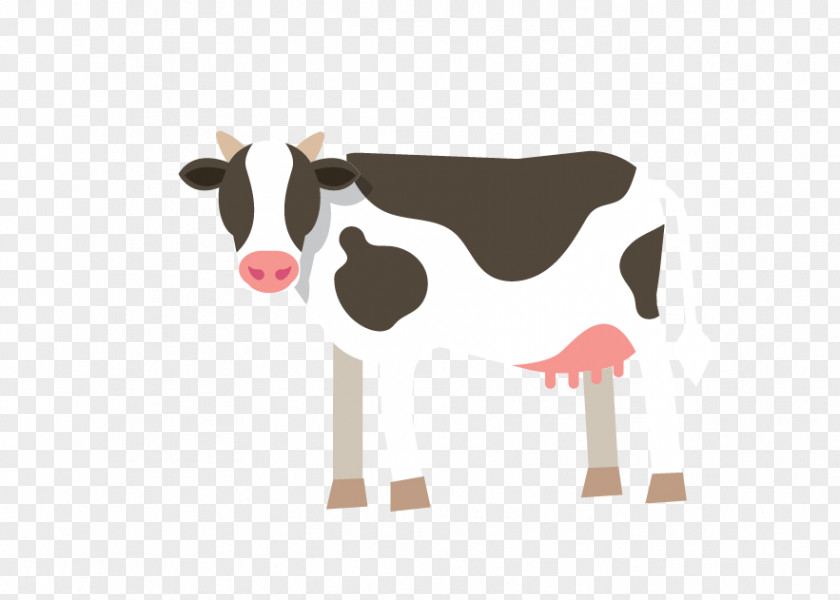 Dairy Cow Flevoland Provinces Of The Netherlands Dutch PNG