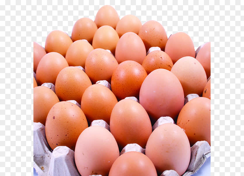 Egg Food White Eating Health PNG