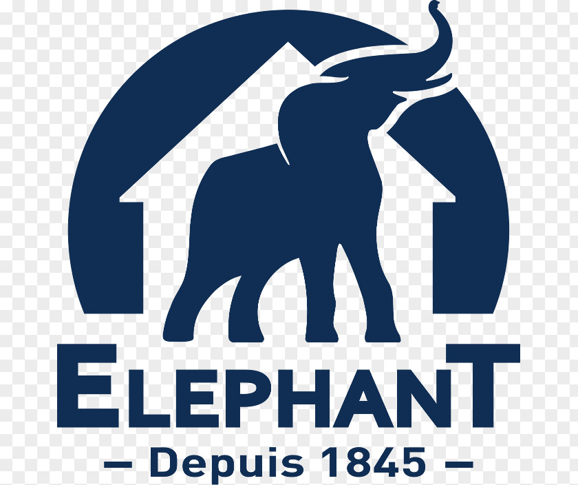 Elephant Logo Household In The Aeroplane Over Sea Room Cleanliness PNG