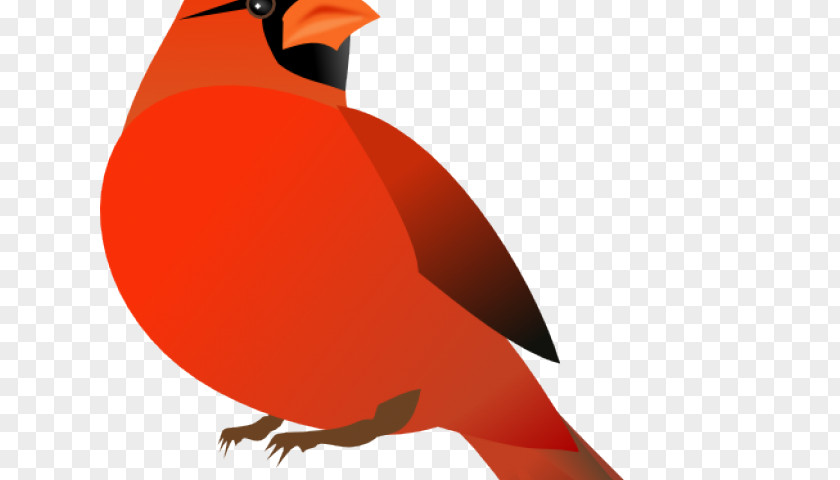 Flying Cardinal Clip Art Northern Free Content Vector Graphics PNG