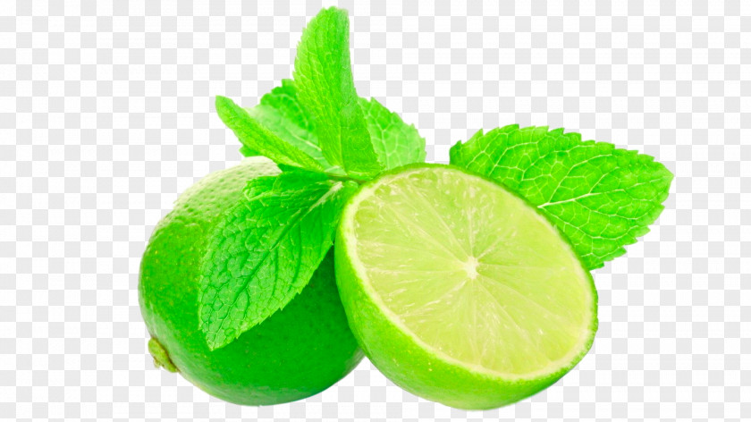 Fresh Lemon Kaffir Lime Persian Key PNG